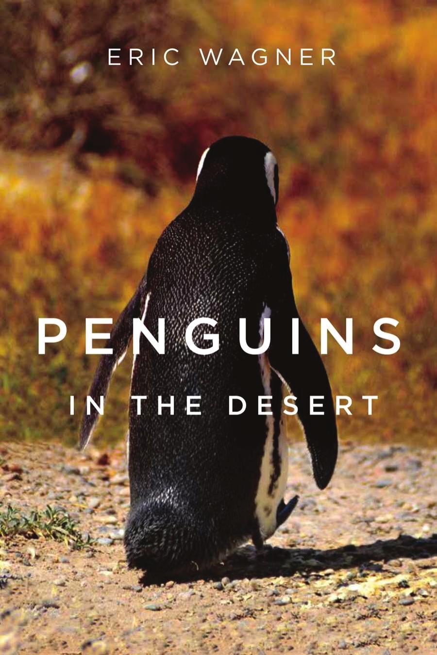 Penguins in the Desert by Eric Wagner