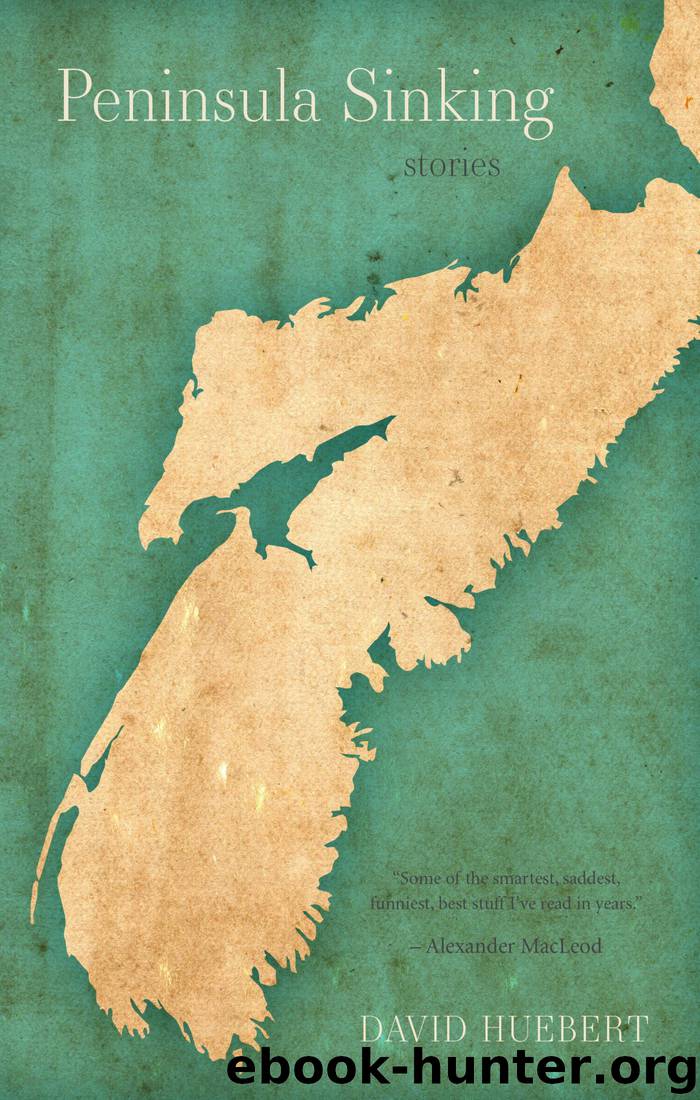 Peninsula Sinking by David Huebert