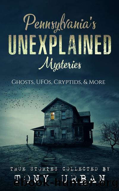 Pennsylvania's Unexplained Mysteries by Tony Urban