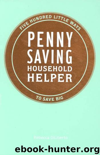 Penny Saving Household Helper by Rebecca DiLiberto