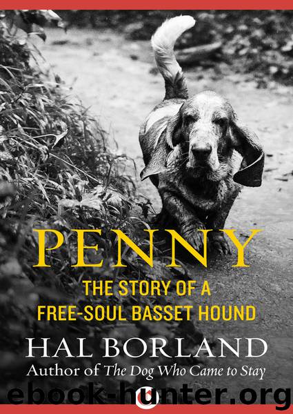 Penny by Borland Hal;