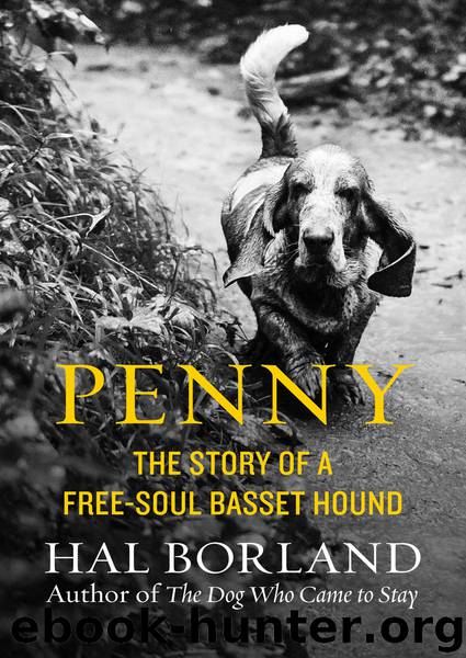 Penny by Hal Borland
