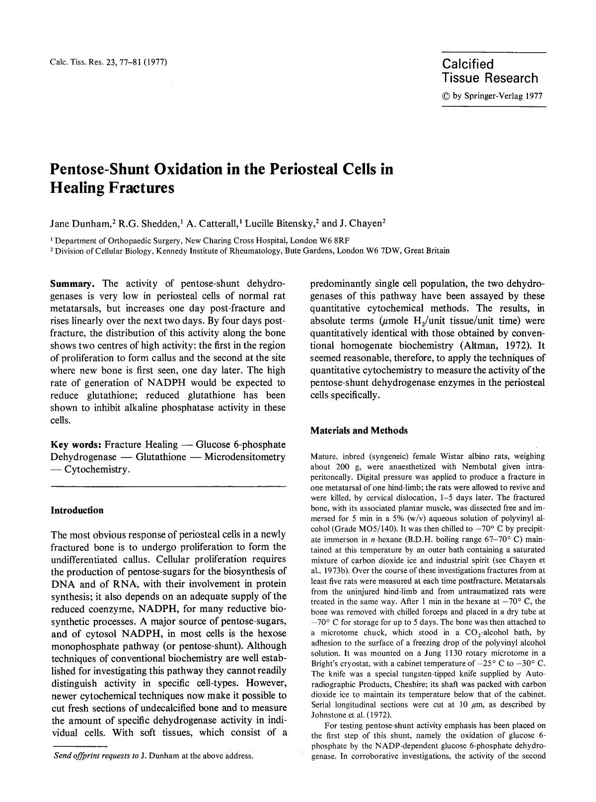 Pentose-shunt oxidation in the periosteal cells in healing fractures by Unknown