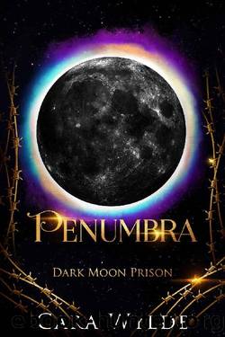 Penumbra: A Reverse Harem Omegaverse Prequel (Dark Moon Prison) by Cara Wylde