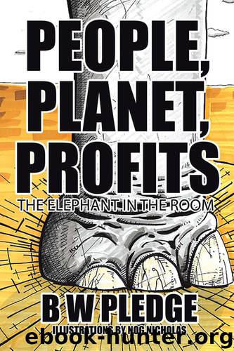 People, Planet, Profits by B W Pledge
