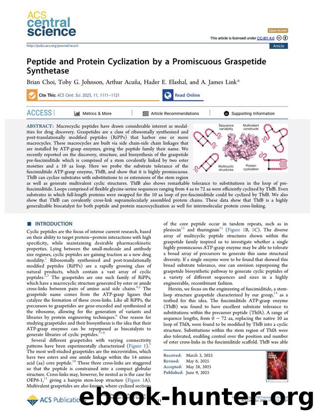 Peptide and Protein Cyclization by a Promiscuous Graspetide Synthetase by Brian Choi & Toby G. Johnson & Arthur Acuña & Hader E. Elashal & A. James Link