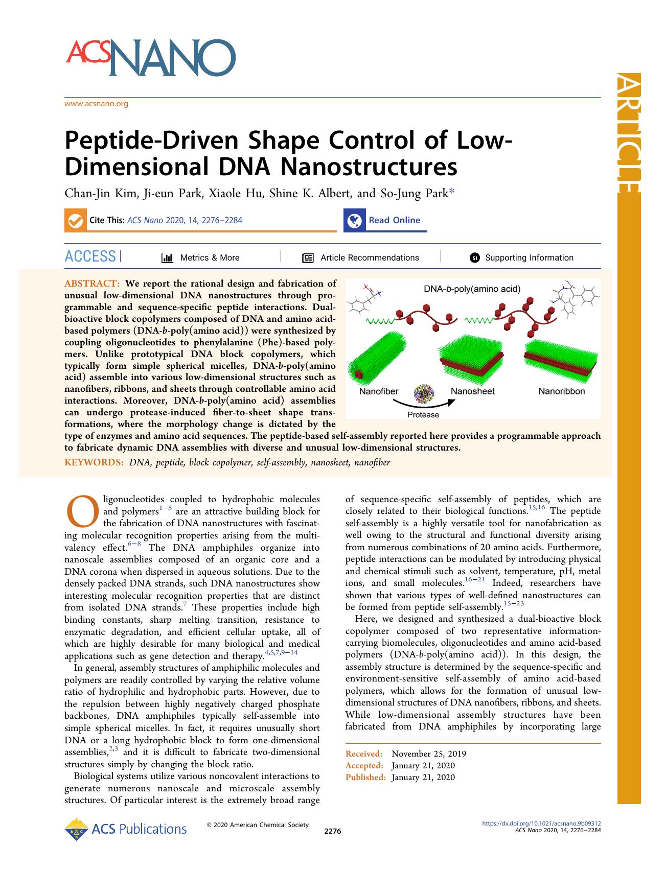 Peptide-Driven Shape Control of Low-Dimensional DNA Nanostructures by Chan-Jin Kim Ji-eun Park Xiaole Hu Shine K. Albert and So-Jung Park