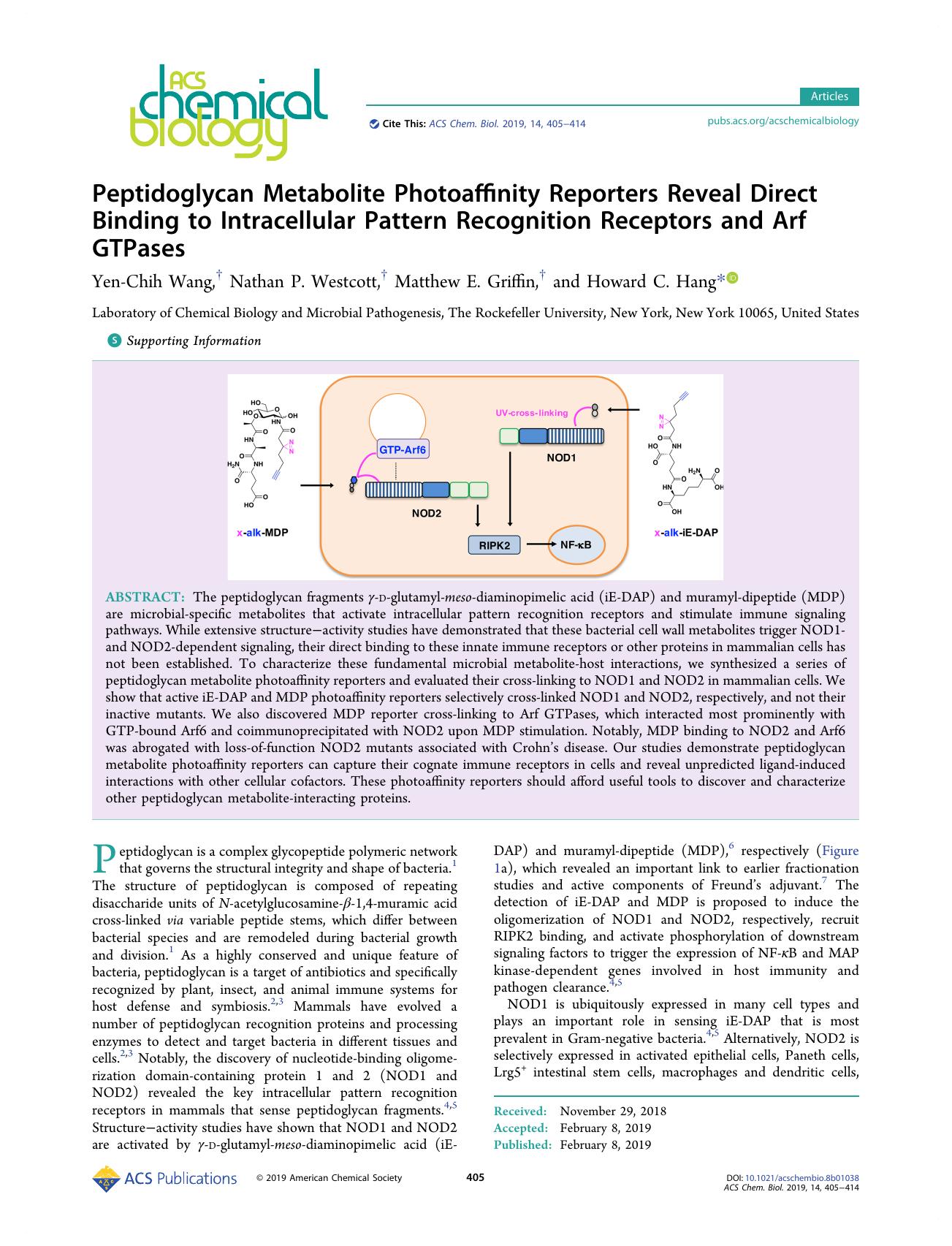 Peptidoglycan Metabolite Photoaffinity Reporters Reveal Direct Binding to Intracellular Pattern Recognition Receptors and Arf GTPases by Yen-Chih Wang Nathan P. Westcott Matthew E. Griffin and Howard C. Hang