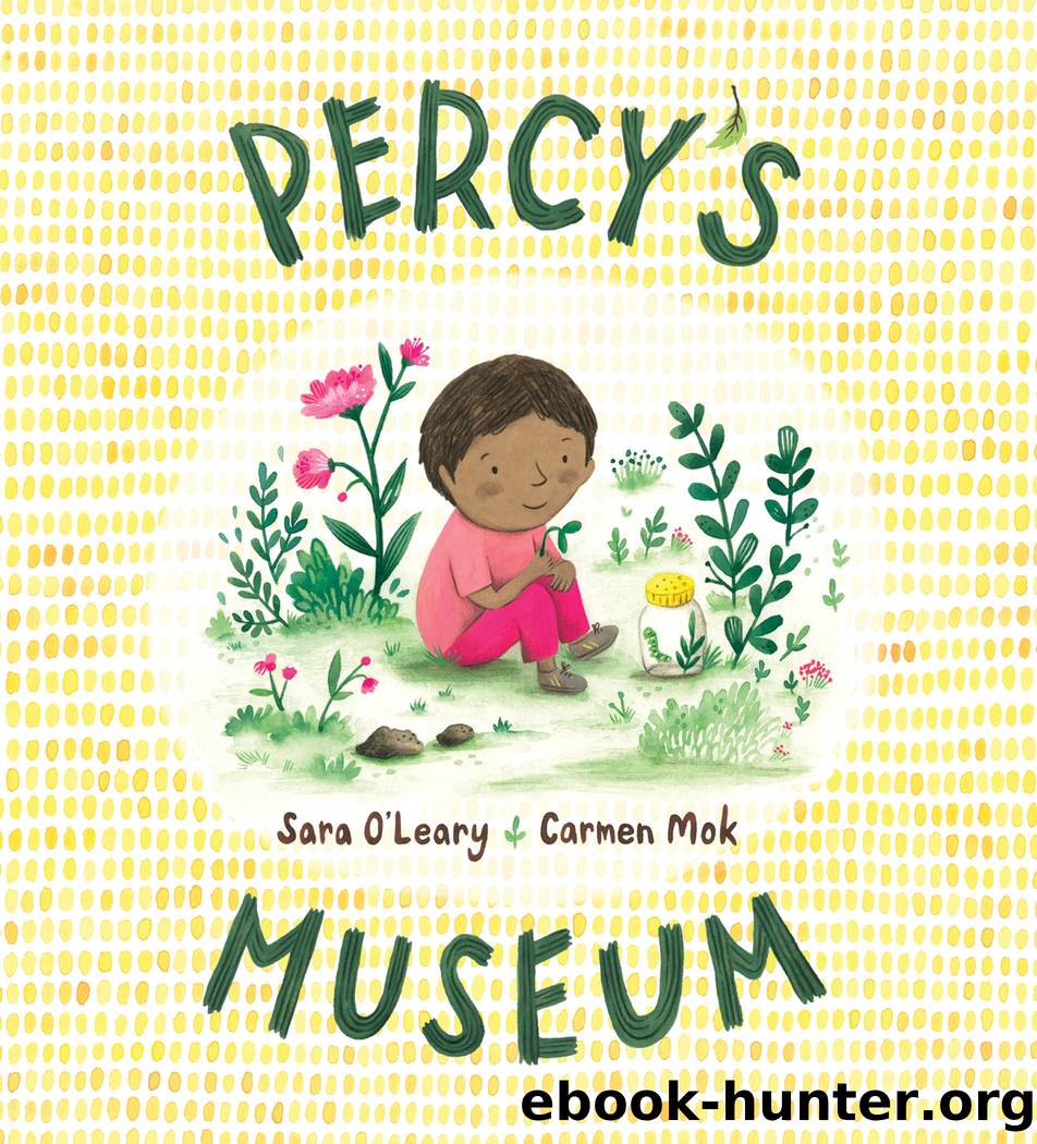 Percy's Museum by Sara O'Leary