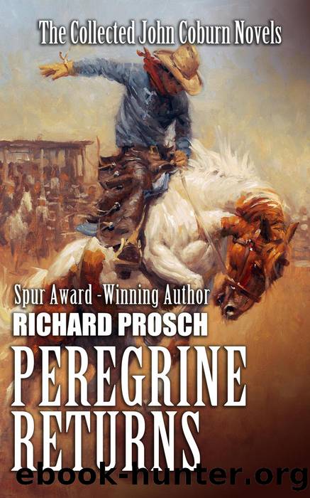 Peregrine Returns by Richard Prosch
