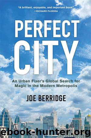 Perfect City by Joe Berridge