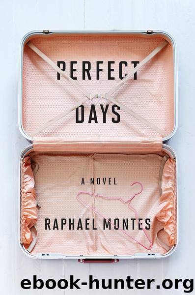 Perfect Days by Montes Raphael