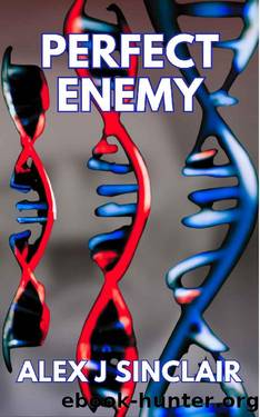 Perfect Enemy by Alex J Sinclair