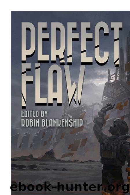 Perfect Flaw by Robin Blankenship