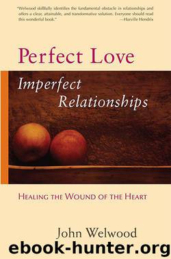 Perfect Love, Imperfect Relationships: Healing the Wound of the Heart by John Welwood