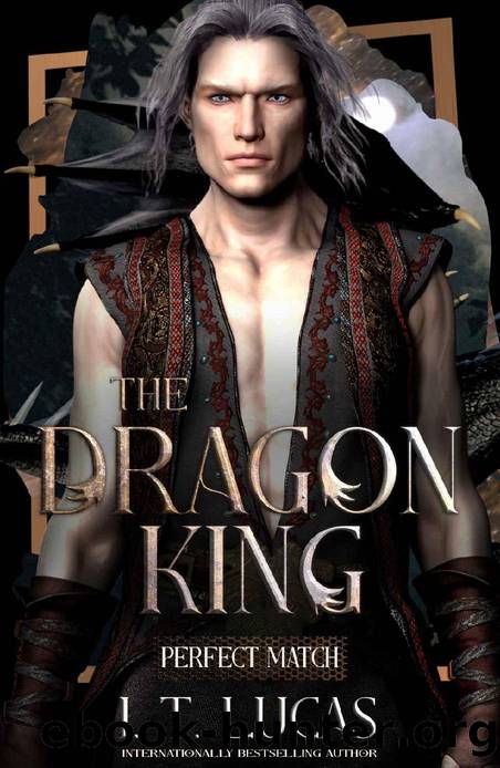 Perfect Match: The Dragon King by i. T. Lucas