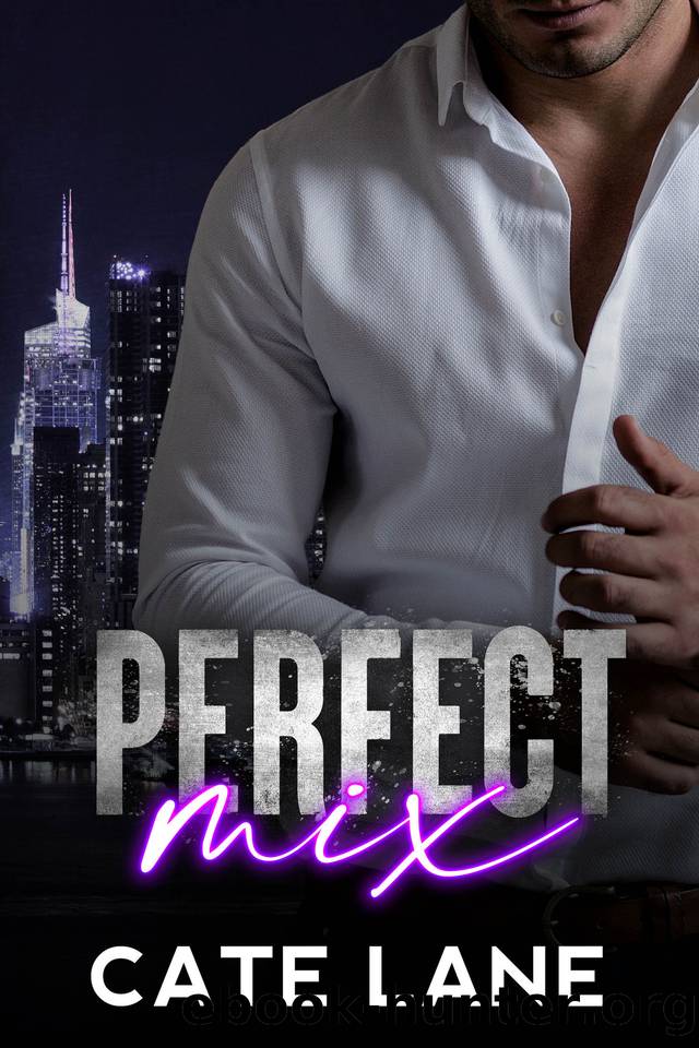 Perfect Mix by Cate Lane