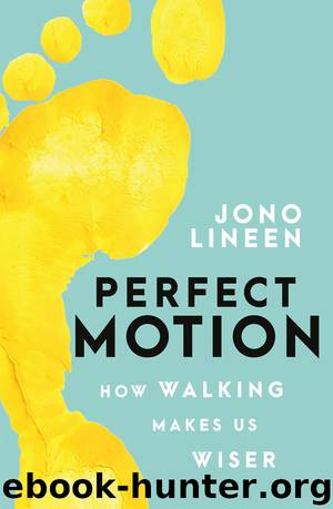 Perfect Motion by Jono Lineen