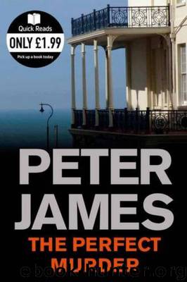 Perfect Murder by James Peter