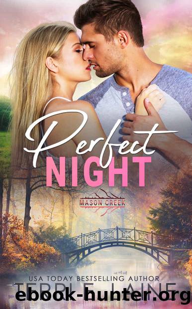 Perfect Night by Laine Terri E