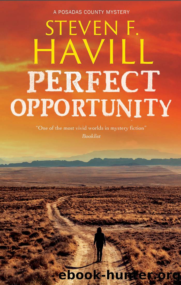 Perfect Opportunity by Steven F. Havill
