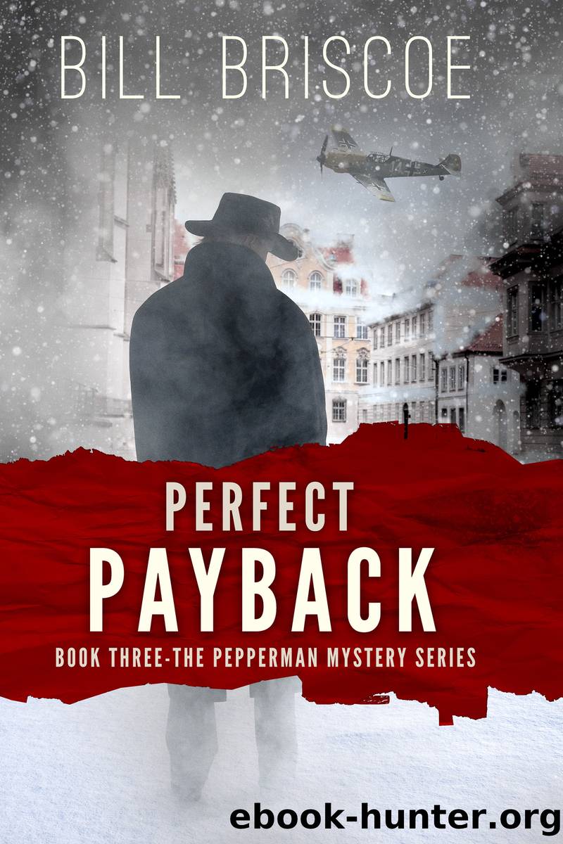 Perfect Payback by Bill Briscoe