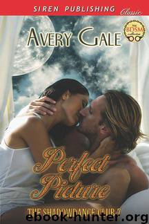 Perfect Picture by Avery Gale