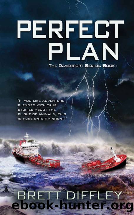 Perfect Plan by Brett Diffley