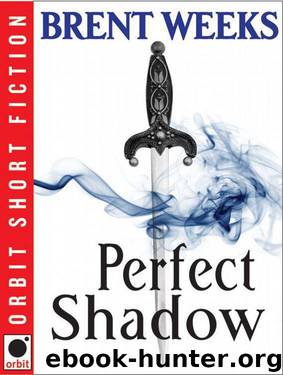 Perfect Shadow: A Night Angel Novella by Brent Weeks