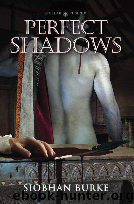 Perfect Shadows by Burke Siobhan