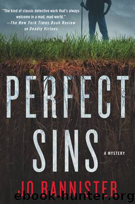 Perfect Sins by Jo Bannister