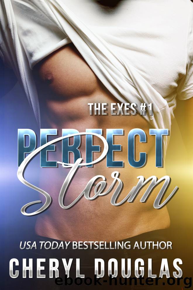 Perfect Storm (The Exes #1) by Cheryl Douglas