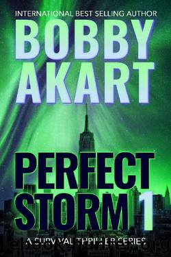 Perfect Storm 1: Post Apocalyptic Survival Thriller (Perfect Storm Series) by Bobby Akart
