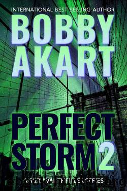 Perfect Storm 2: Post Apocalyptic Survival Thriller (Perfect Storm Series) by Bobby Akart