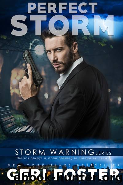 Perfect Storm by Geri Foster