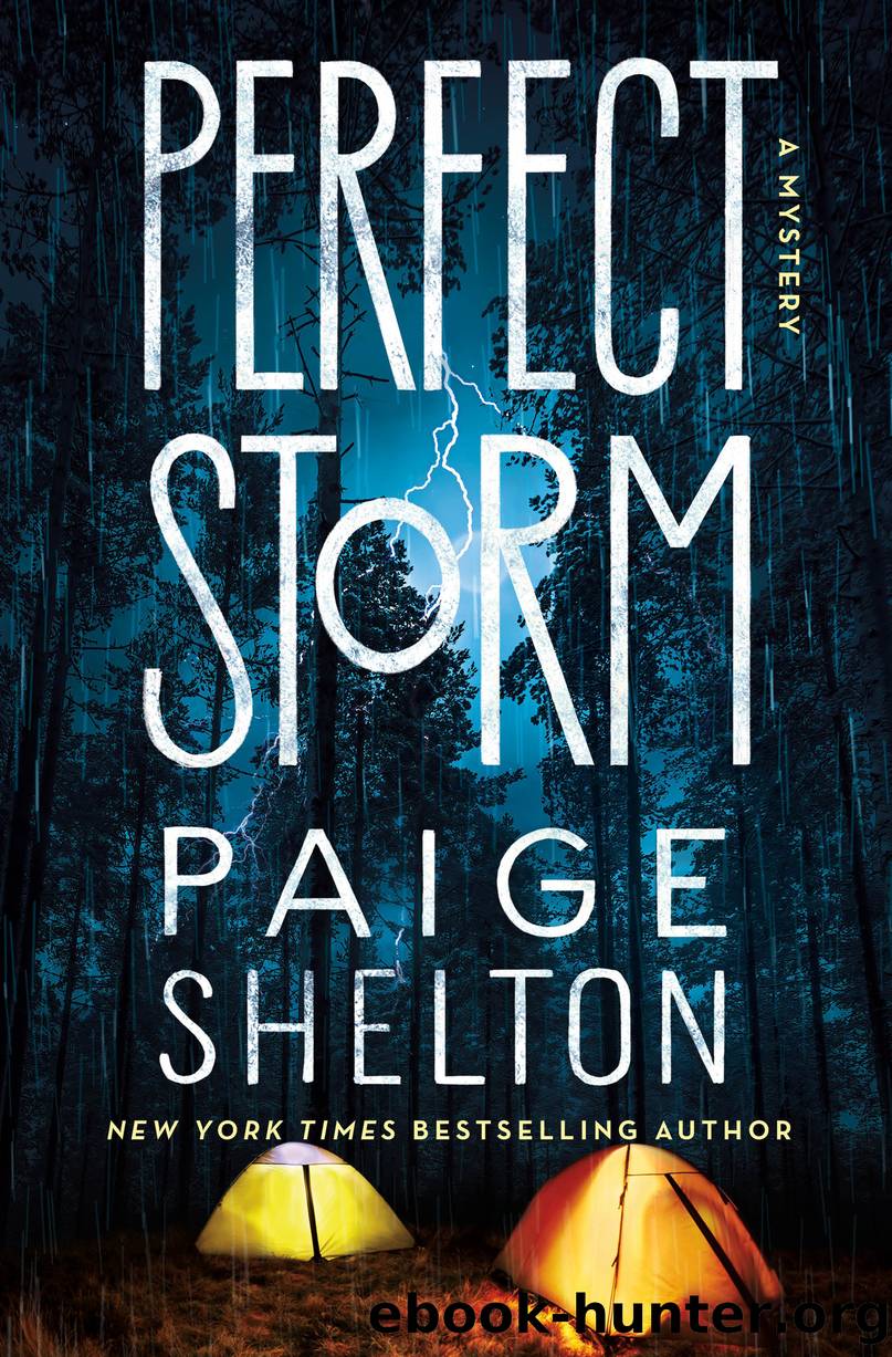 Perfect Storm by Paige Shelton