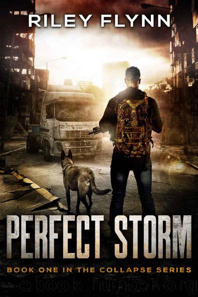 Perfect Storm by Riley Flynn