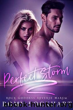 Perfect Storm by Romy Lockhart