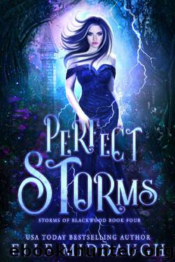 Perfect Storms (Storms of Blackwood Book 4) by Elle Middaugh