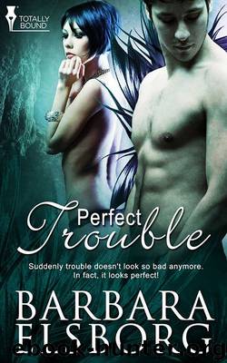 Perfect Trouble by Barbara Elsborg