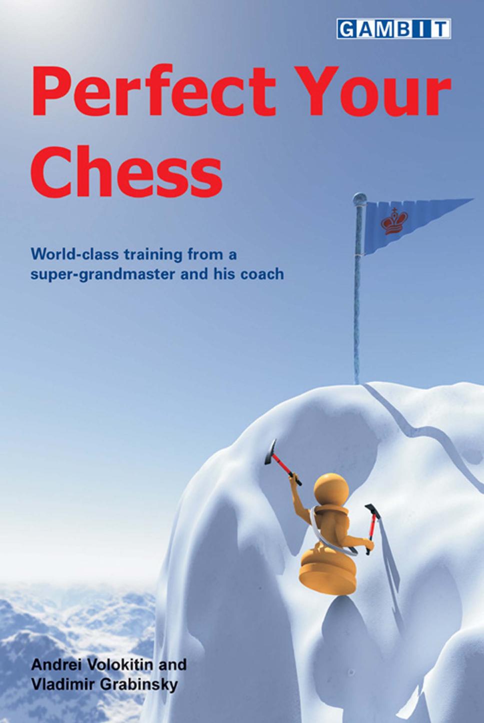 Perfect Your Chess by Andrei Volokitin Vladimir Grabinsky Steve Giddins