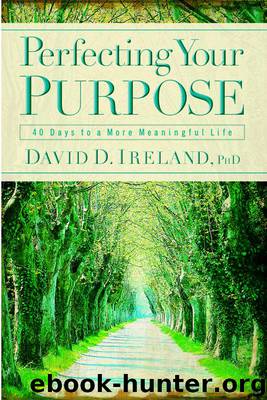 Perfecting Your Purpose: 40 Days to a More Meaningful Life by David D. Ireland