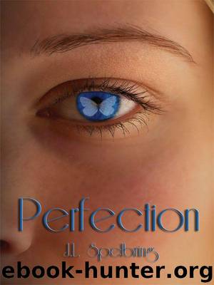 Perfection (JL Spelbring) by JL Spelbring