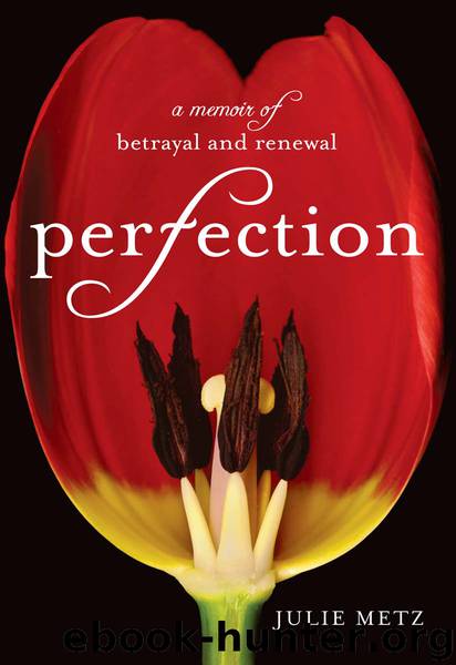 Perfection by Julie Metz