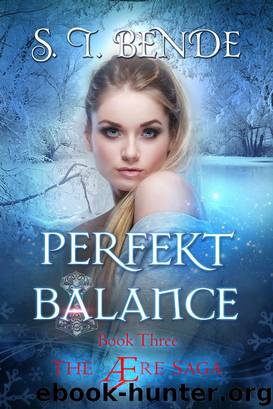 Perfekt Balance (The Ære Saga Book 3) by S.T. Bende