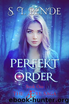 Perfekt Order (The Ære Saga Book 1) by S.T. Bende