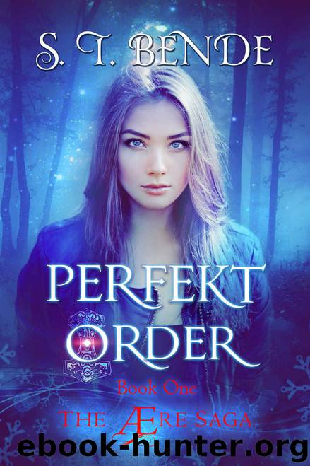 Perfekt Order by S.T. Bende