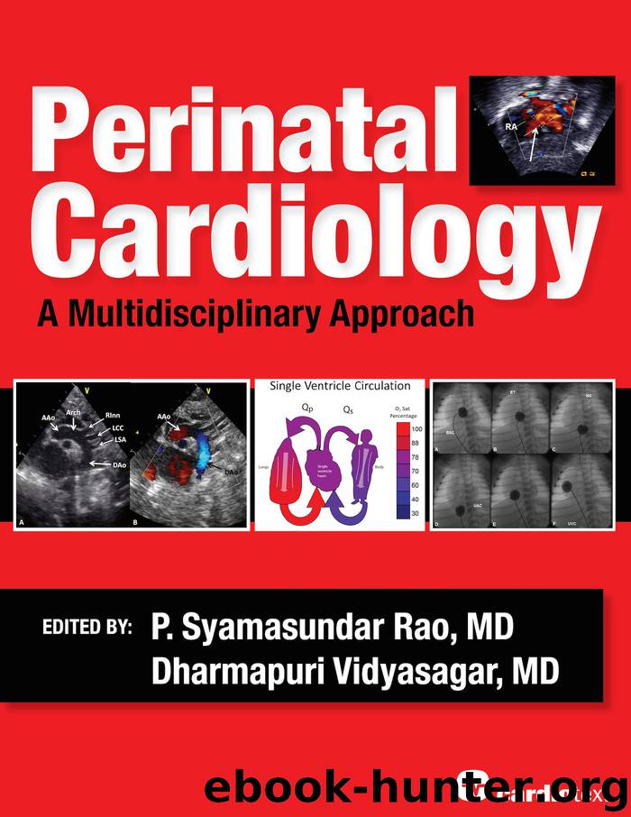 Perinatal Cardiology: A Multidisciplinary Approach: A Multidisciplinary Approach by Rao P. Syamasundar Vidyasagar Dharmapuri