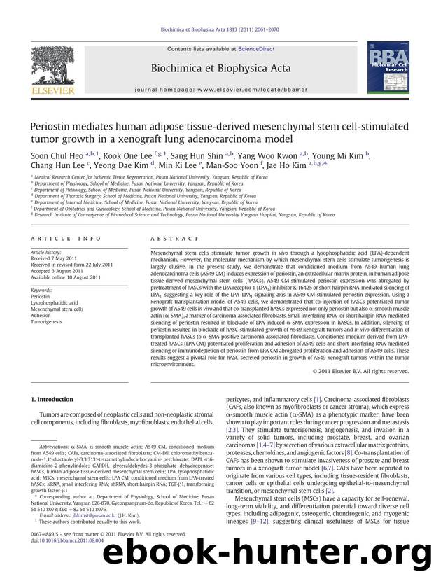 Periostin mediates human adipose tissue-derived mesenchymal stem cell-stimulated tumor growth in a xenograft lung adenocarcinoma model by unknow