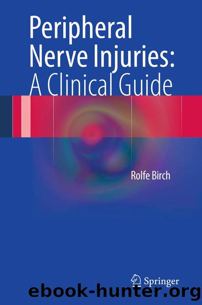 Peripheral Nerve Injuries: A Clinical Guide by Rolfe Birch Rolfe Birch Rolfe Birch & Rolfe Birch